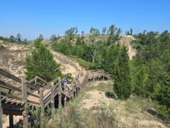 A photo of the boardwalk over the dunes at Indiana Dunes National Park, showing the varied landscape of beachy sand and pine forests.