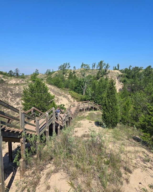 A photo of the boardwalk over the dunes at Indiana Dunes National Park, showing the varied landscape of beachy sand and pine forests.